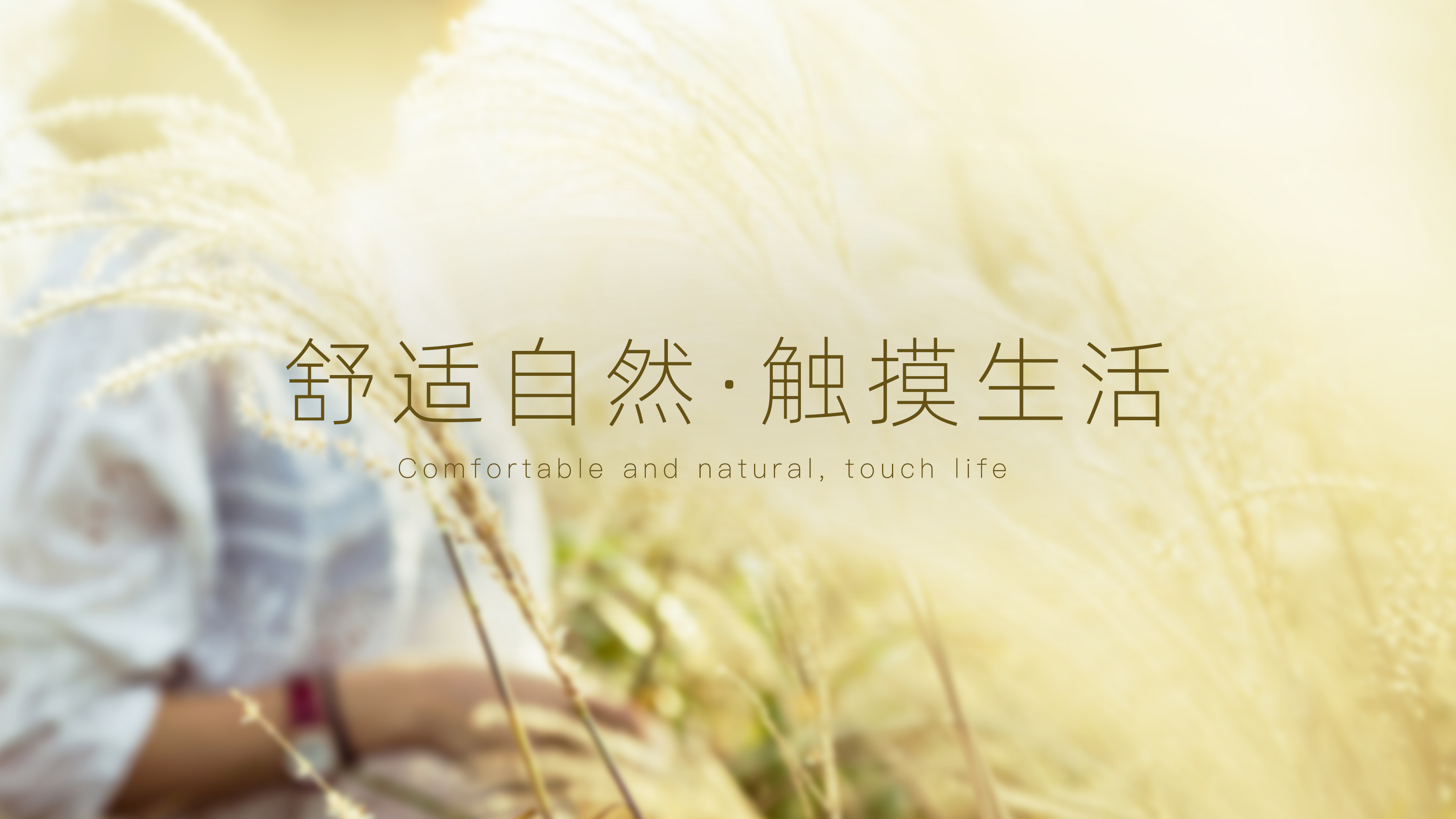 乐鱼体育app下载